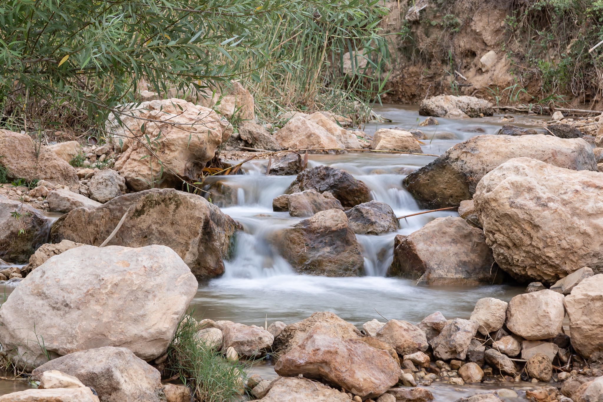 التنزه والتجول في البارك